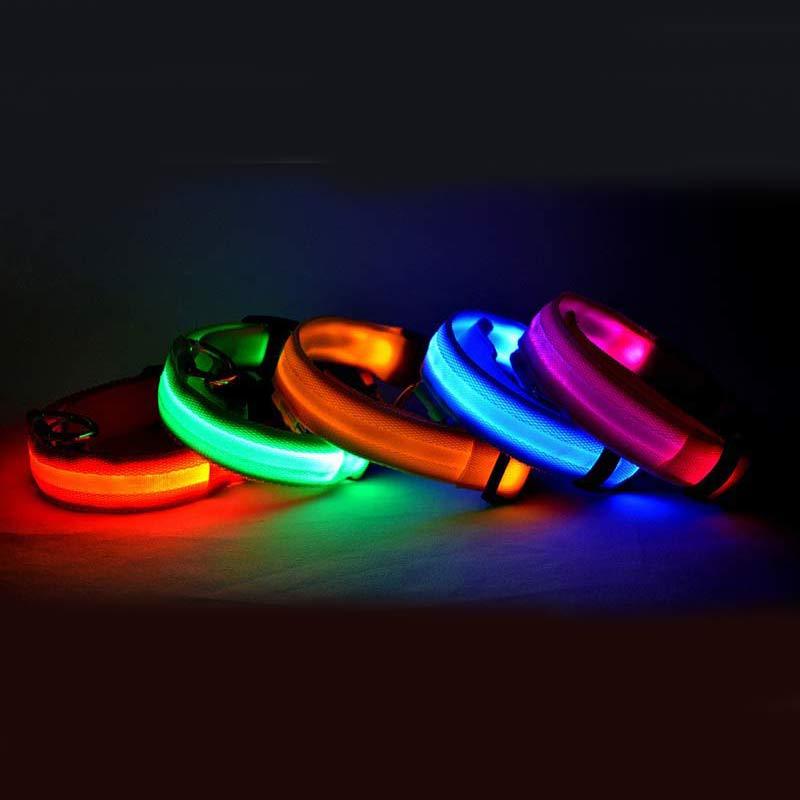 Woof Jigglo LED Glow Adjustable Dog Collar - WOOF JIGGLO