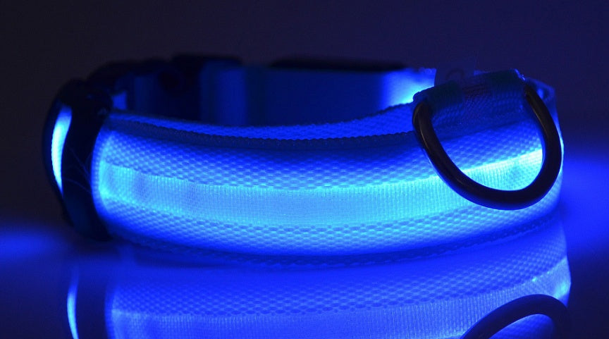 Woof Jigglo LED Glow Adjustable Dog Collar - WOOF JIGGLO
