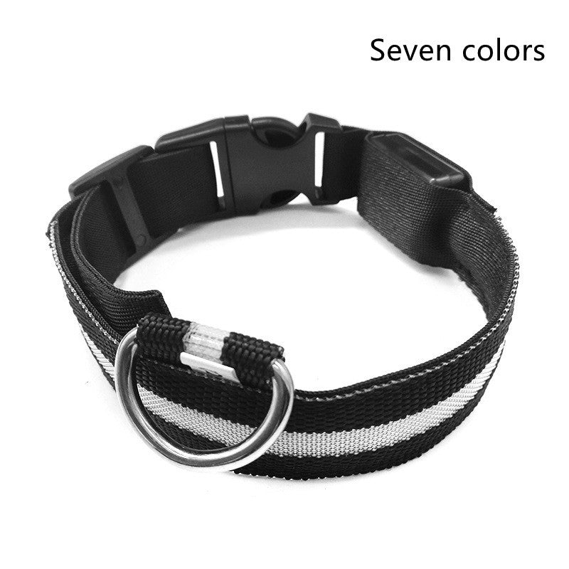 Woof Jigglo LED Glow Adjustable Dog Collar - WOOF JIGGLO