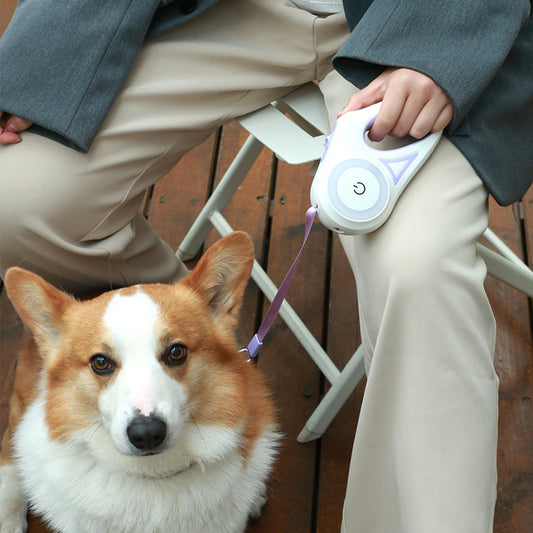 Woof Jigglo Retractable Spotlight Dog Leash - WOOF JIGGLO
