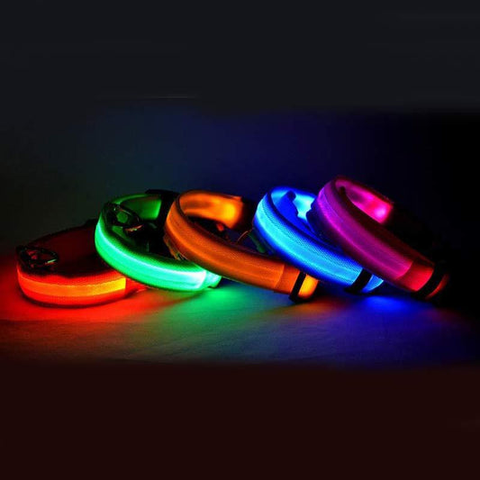 Woof Jigglo LED Glow Adjustable Dog Collar - WOOF JIGGLO